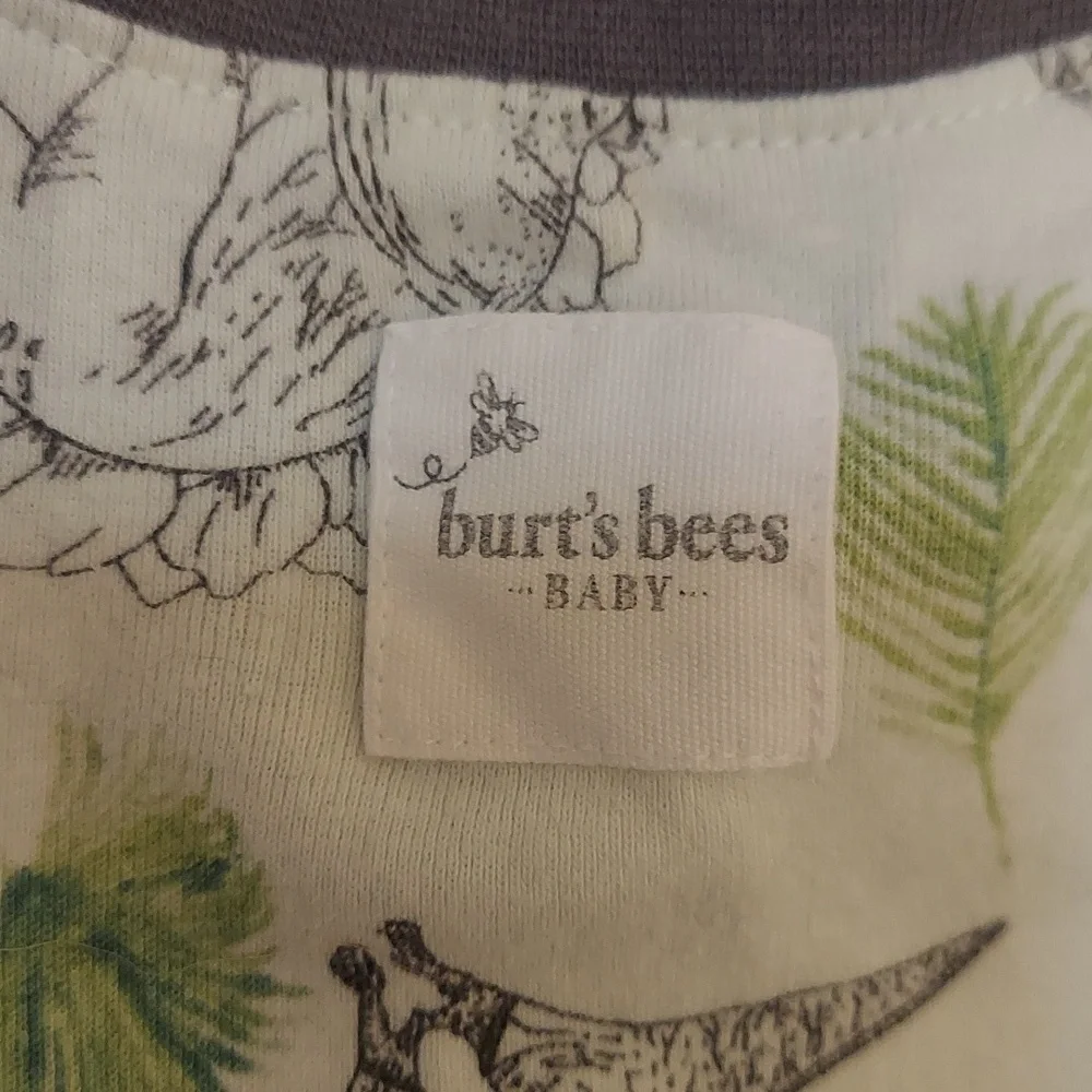 ⭐️ 5/30 Burt's Bees 6-9 month dinosaur pajamas, green, footed